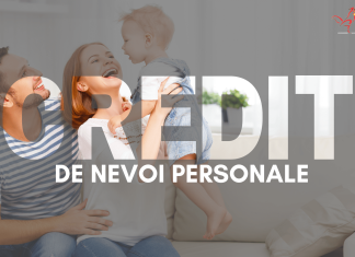 Înțelegerea Instituțiilor Financiare Nebancare (IFN) – o prezentare generală